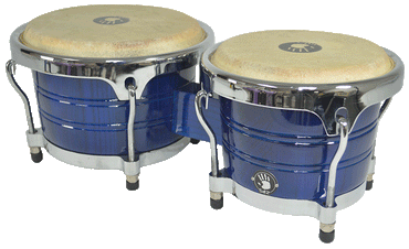 5D2 Bongo 5D2-BG500