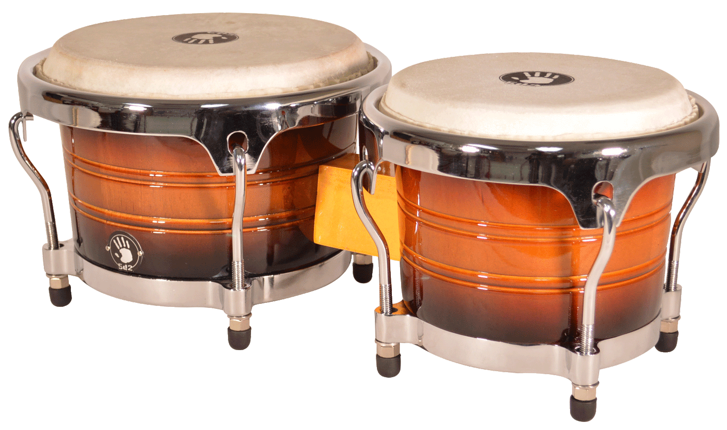 5D2 Bongo 5D2-BG500