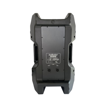 Audiopipe DJAV-X12 12“ Professional 2-Way Passive Loudspeaker