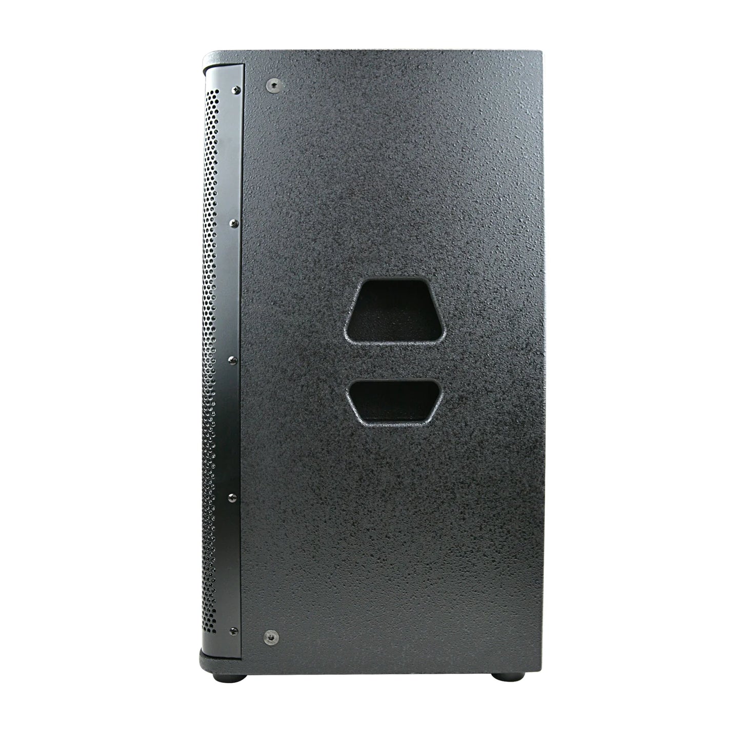 Audiopipe 12” Professional 2-Way Passive Loudspeaker DJAK-P12