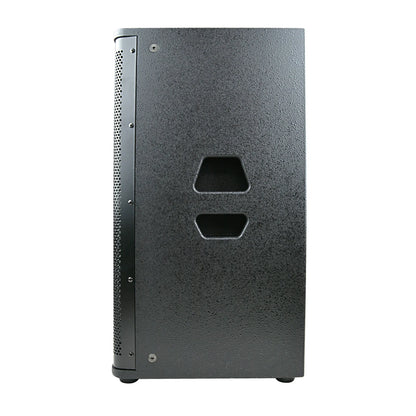Audiopipe 12” Professional 2-Way Passive Loudspeaker DJAK-P12
