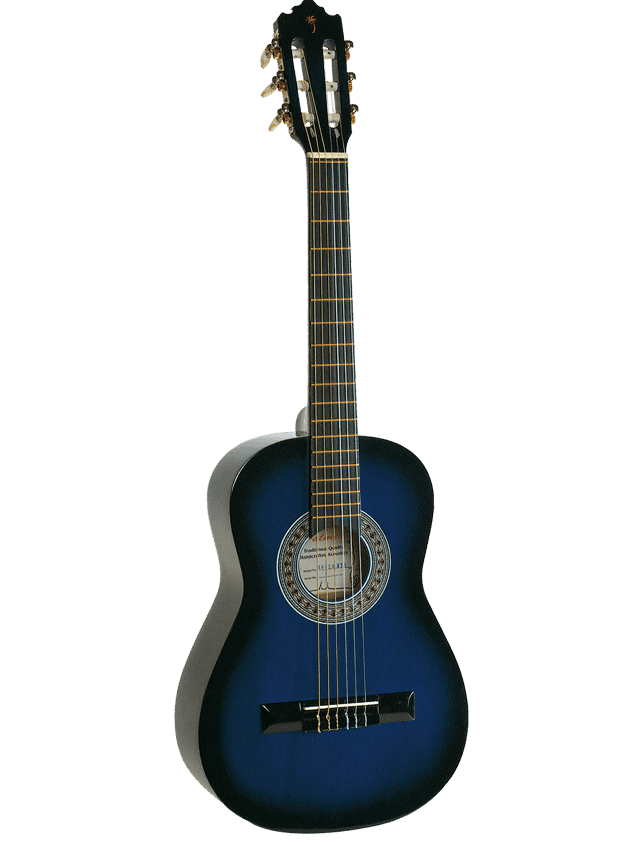Palmer SOFIA 34" Classical Guitar