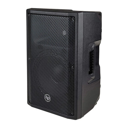 Audiopipe DJAV-X10 10“ Professional 2-Way Passive Loudspeaker